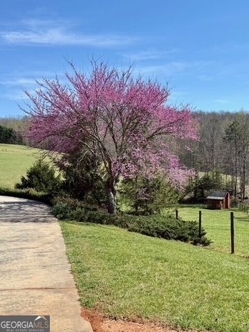 991 Adair Mill Road, Cleveland, GA 30528