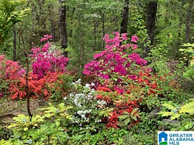 3244 VERDURE DRIVE, Hoover, AL 35226