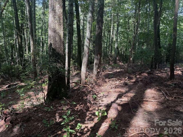 0 Huckleberry Ridge Lane 127R2, Zirconia, NC 28790