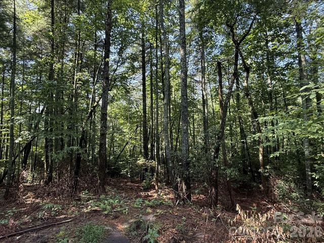 0 Huckleberry Ridge Lane 127R2, Zirconia, NC 28790