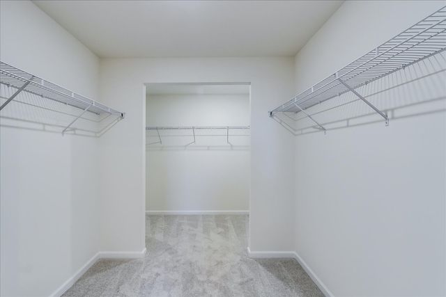 616 Switchgrass Lane 61005, Bolingbrook, IL 60490