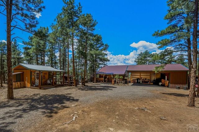 23251 Elk Tr, Aguilar, CO 81020