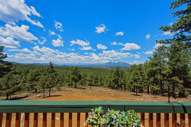 23251 Elk Tr, Aguilar, CO 81020