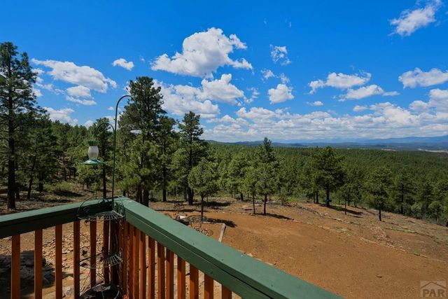 23251 Elk Tr, Aguilar, CO 81020