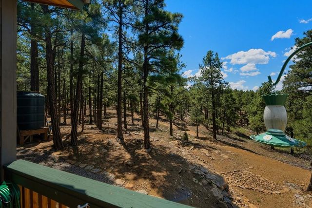 23251 Elk Tr, Aguilar, CO 81020