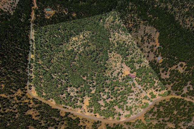 23251 Elk Tr, Aguilar, CO 81020