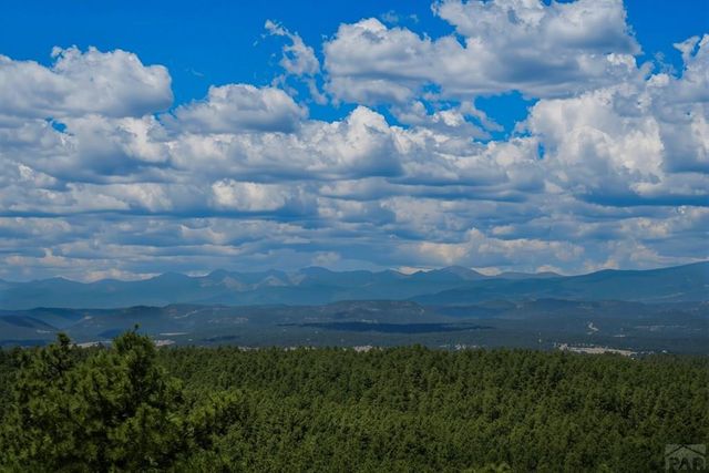 23251 Elk Tr, Aguilar, CO 81020