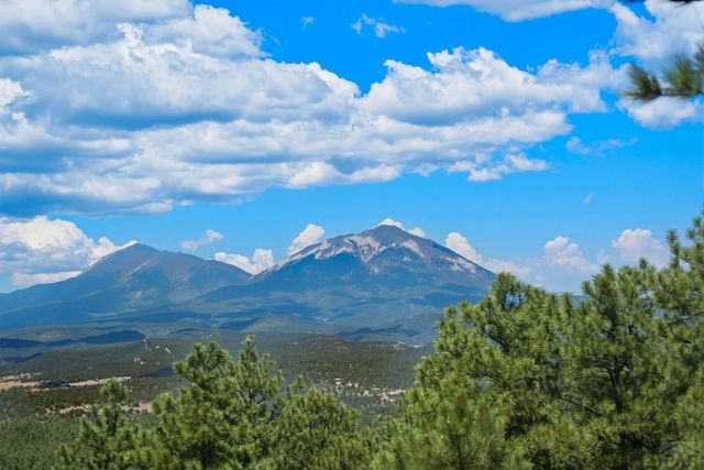 23251 Elk Tr, Aguilar, CO 81020