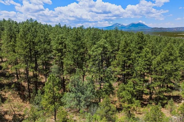 23251 Elk Tr, Aguilar, CO 81020