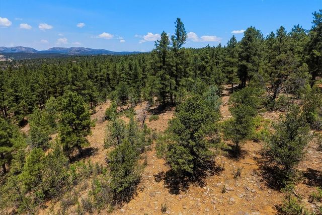 23251 Elk Tr, Aguilar, CO 81020