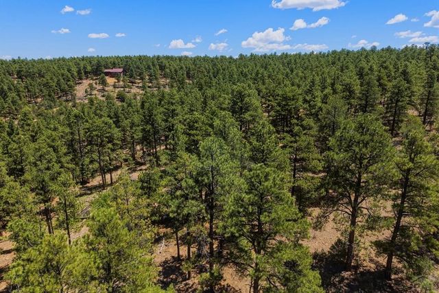23251 Elk Tr, Aguilar, CO 81020