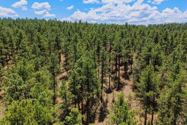 23251 Elk Tr, Aguilar, CO 81020