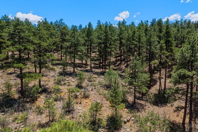 23251 Elk Tr, Aguilar, CO 81020