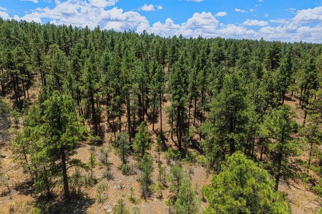 23251 Elk Tr, Aguilar, CO 81020