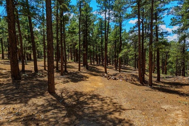 23251 Elk Tr, Aguilar, CO 81020