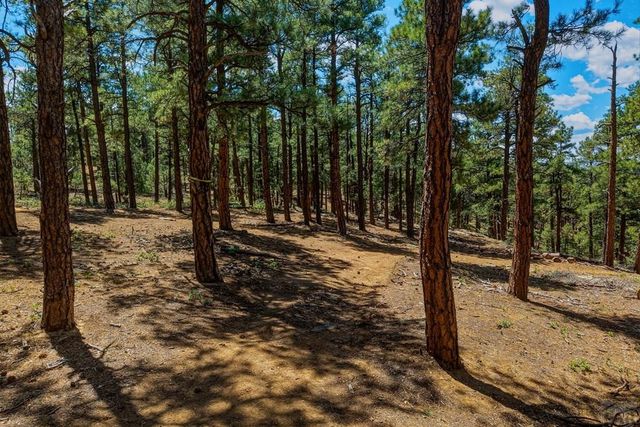 23251 Elk Tr, Aguilar, CO 81020