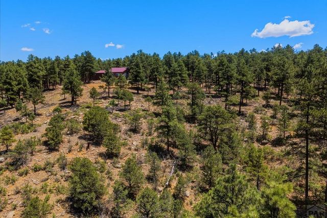 23251 Elk Tr, Aguilar, CO 81020