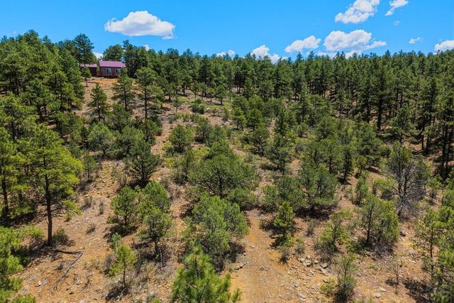 23251 Elk Tr, Aguilar, CO 81020