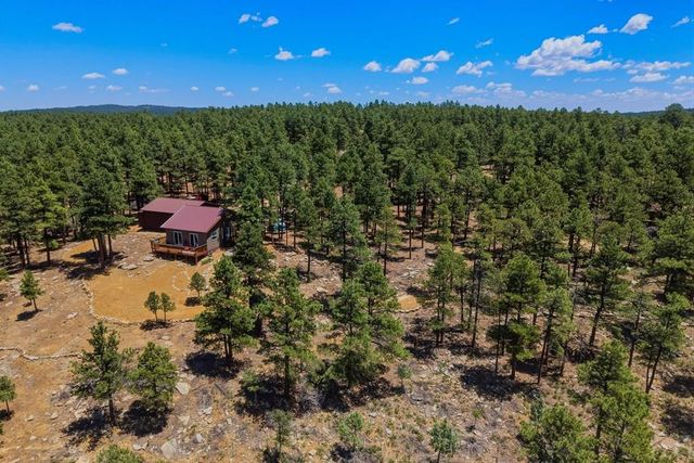 23251 Elk Tr, Aguilar, CO 81020