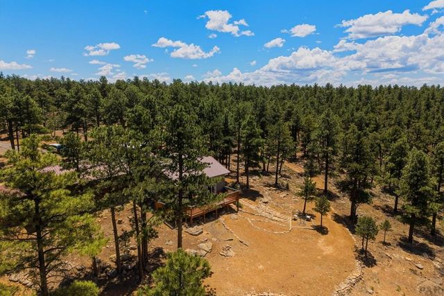 23251 Elk Tr, Aguilar, CO 81020