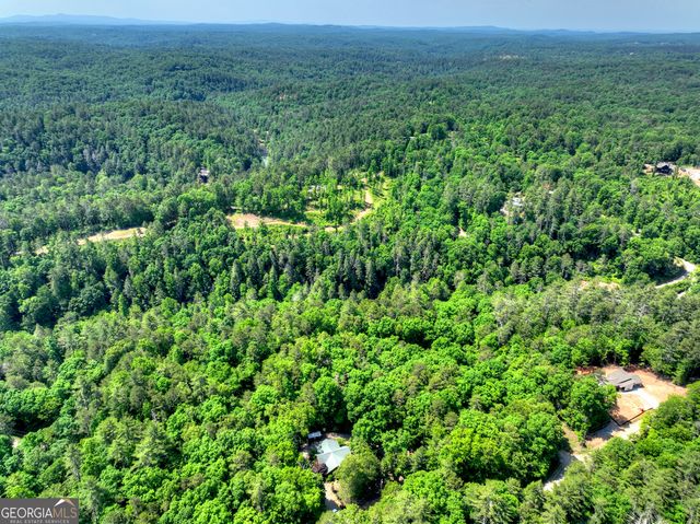 141 Gallery Court, Ellijay, GA 30540