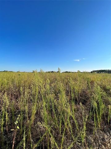 TBD County Road 470, Blue Ridge, TX 75424