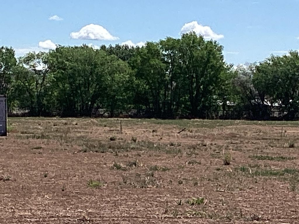 Image 2 of property listing at Olive Lane, Lemitar, NM 87823