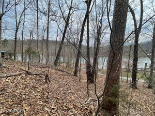 Lot119 Laurel Lake Circle, Madisonville, TN 37354