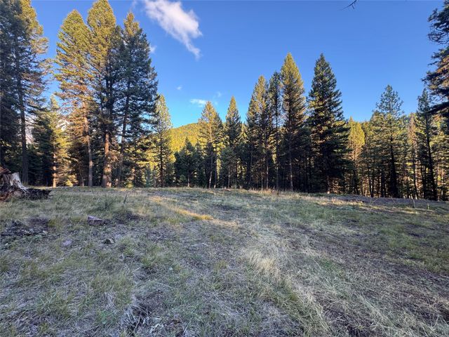 250 Summit Drive, Seeley Lake, MT 59868