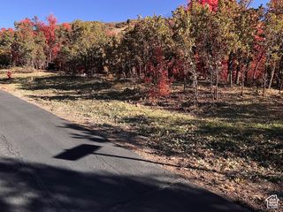 121 N OAKWOOD CIR # 31, Springville, UT 84663
