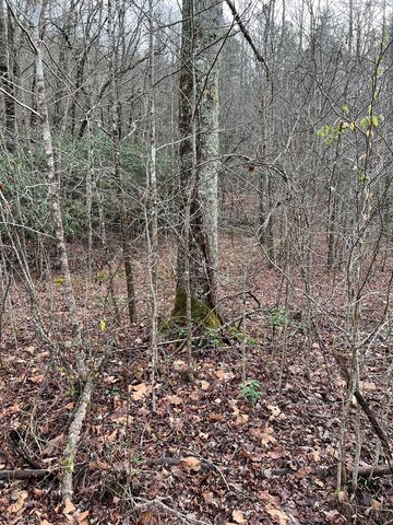 Lots 9, 10, 11, 15 & 17 Mary Lane, Hayesville, NC 28904