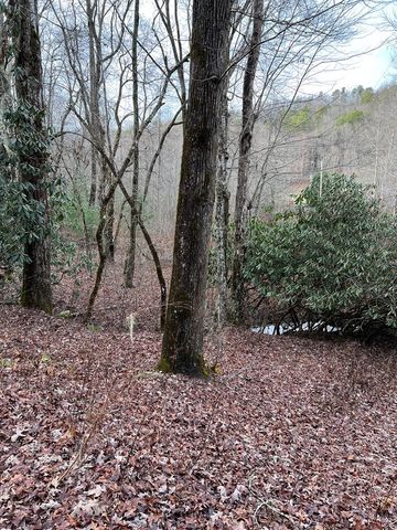 Lots 9, 10, 11, 15 & 17 Mary Lane, Hayesville, NC 28904