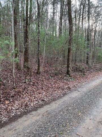 Lots 9, 10, 11, 15 & 17 Mary Lane, Hayesville, NC 28904