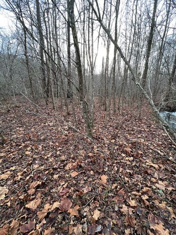 Lots 9, 10, 11, 15 & 17 Mary Lane, Hayesville, NC 28904