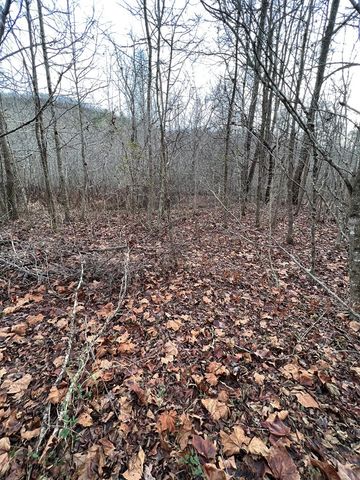Lots 9, 10, 11, 15 & 17 Mary Lane, Hayesville, NC 28904