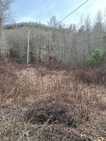 Lots 9, 10, 11, 15 & 17 Mary Lane, Hayesville, NC 28904