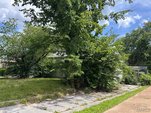 442 Cameron Road, St Louis, MO 63137