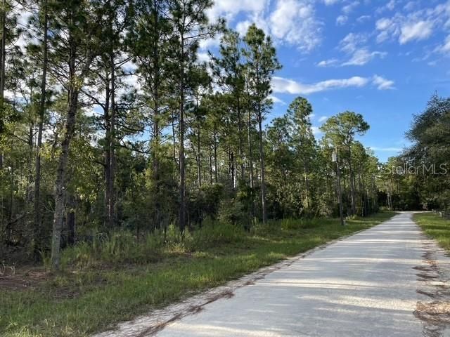 141ST AVENUE, Morriston, FL 32668