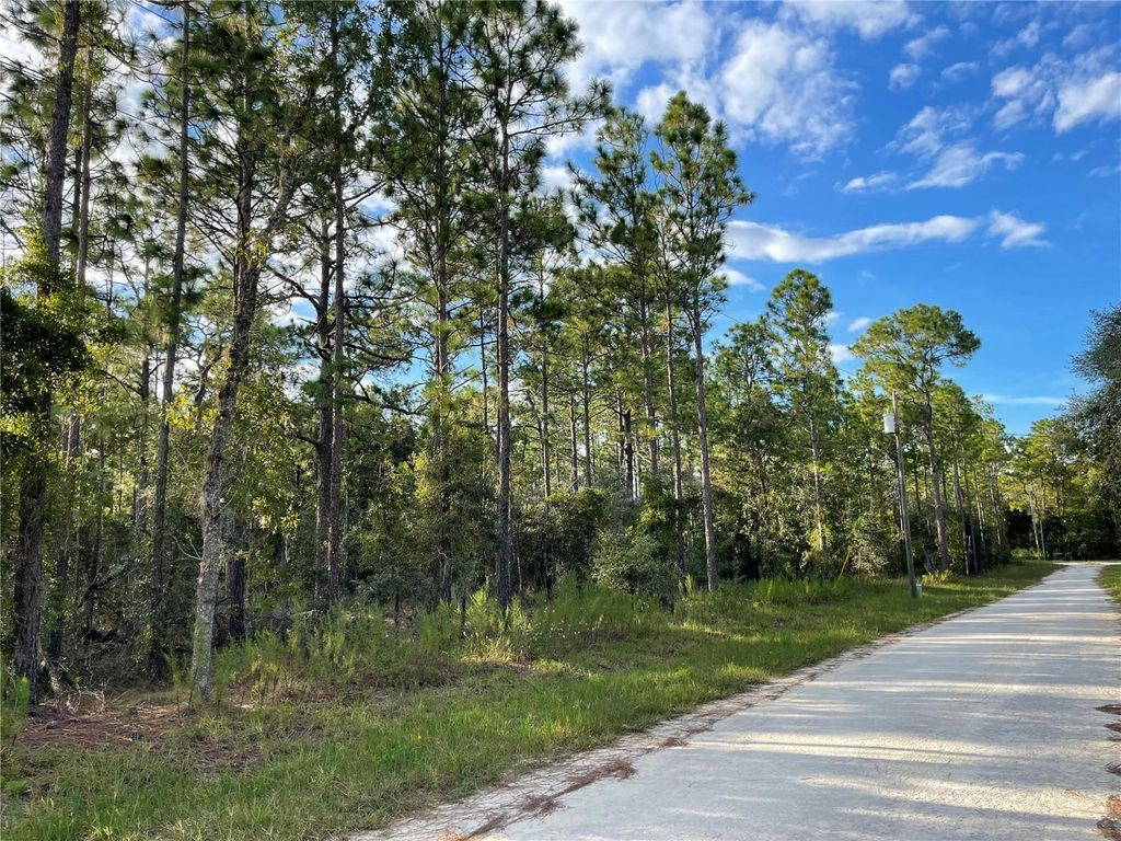 141ST AVENUE, Morriston, FL 32668