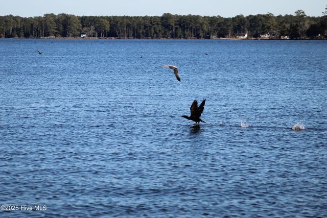 113 Waterway Drive, Havelock, NC 28532