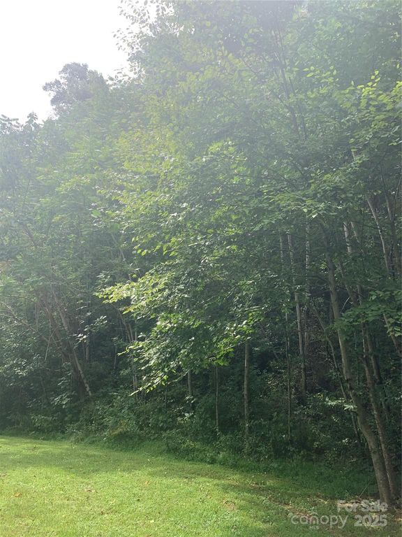 147 W Splitrail Drive 5, Hendersonville, NC 28792