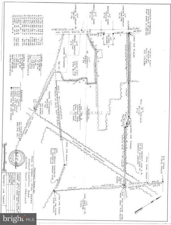 11071 SHARPTOWN RD, Mardela Springs, MD 21837