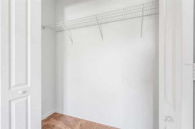 20117 BAY CEDAR AVENUE, Tampa, FL 33647