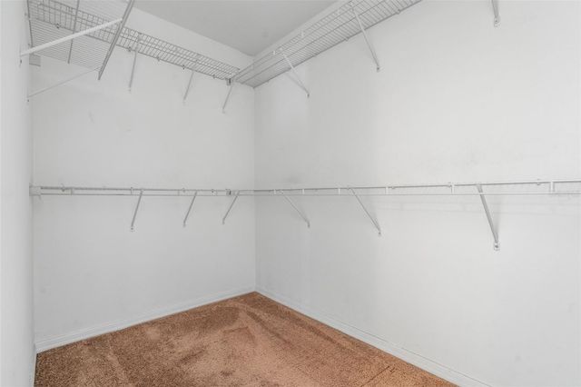 20117 BAY CEDAR AVENUE, Tampa, FL 33647