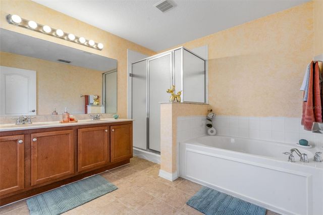 20117 BAY CEDAR AVENUE, Tampa, FL 33647