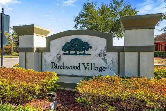 20117 BAY CEDAR AVENUE, Tampa, FL 33647