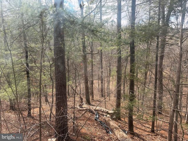 950 KREJCI BLVD, Mount Jackson, VA 22842