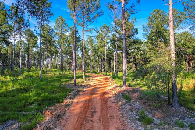 575 Rabbit Pen Drive, Appling, GA 30802