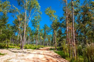 575 Rabbit Pen Drive, Appling, GA 30802