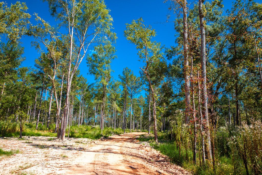 575 Rabbit Pen Drive, Appling, GA 30802